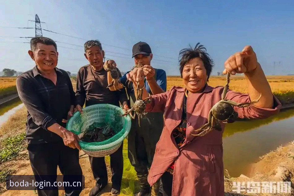 揭秘半岛体育官网功能详解背后的技术真相：v2.0.5实测与三类访问方案对比