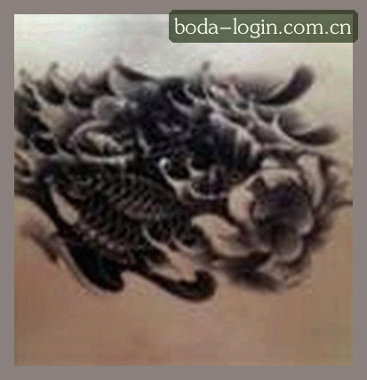 张磊